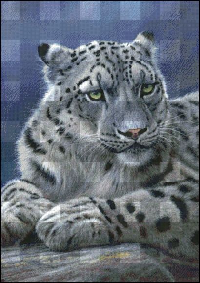 (image for) Snow Leopard 2 - JP